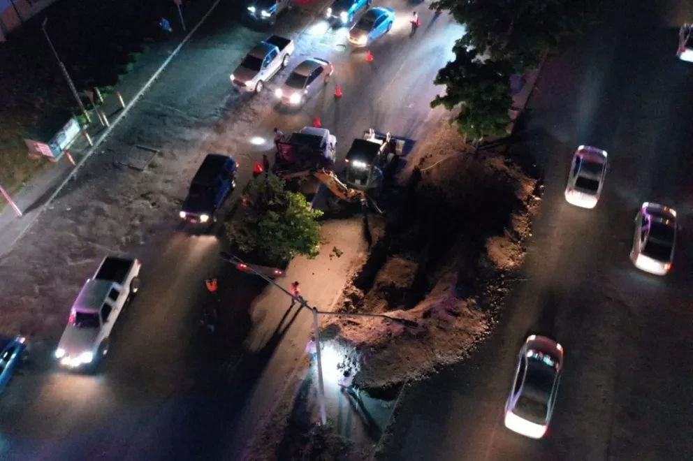 Cuatro árboles del bulevar José Limón en Culiacán, cambian de domicilio, se los llevan al parque Culiacán