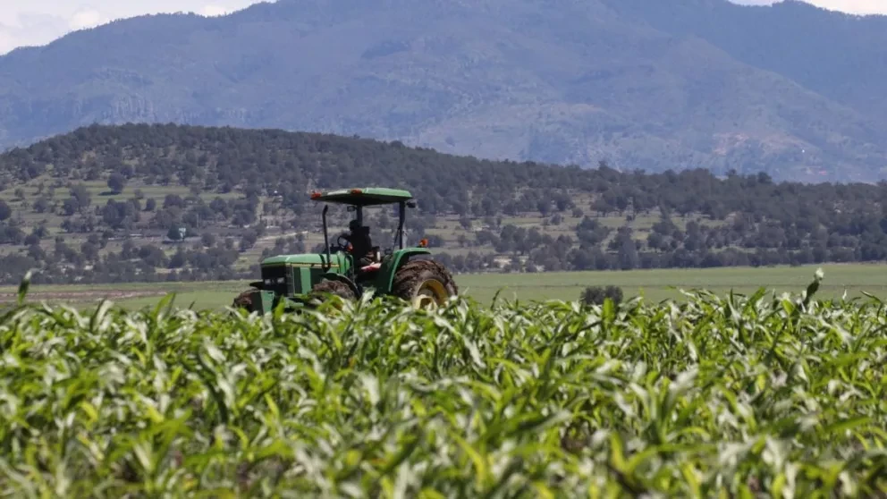 Importación de alimentos. Foto: Contralínea/Cortesía/Temática