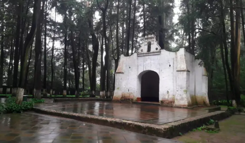 Parque Desierto de los Leones. Foto: Escapadah