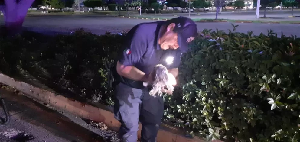Policías de Culiacán rescatan a un gatito que cayó a una alcantarilla.