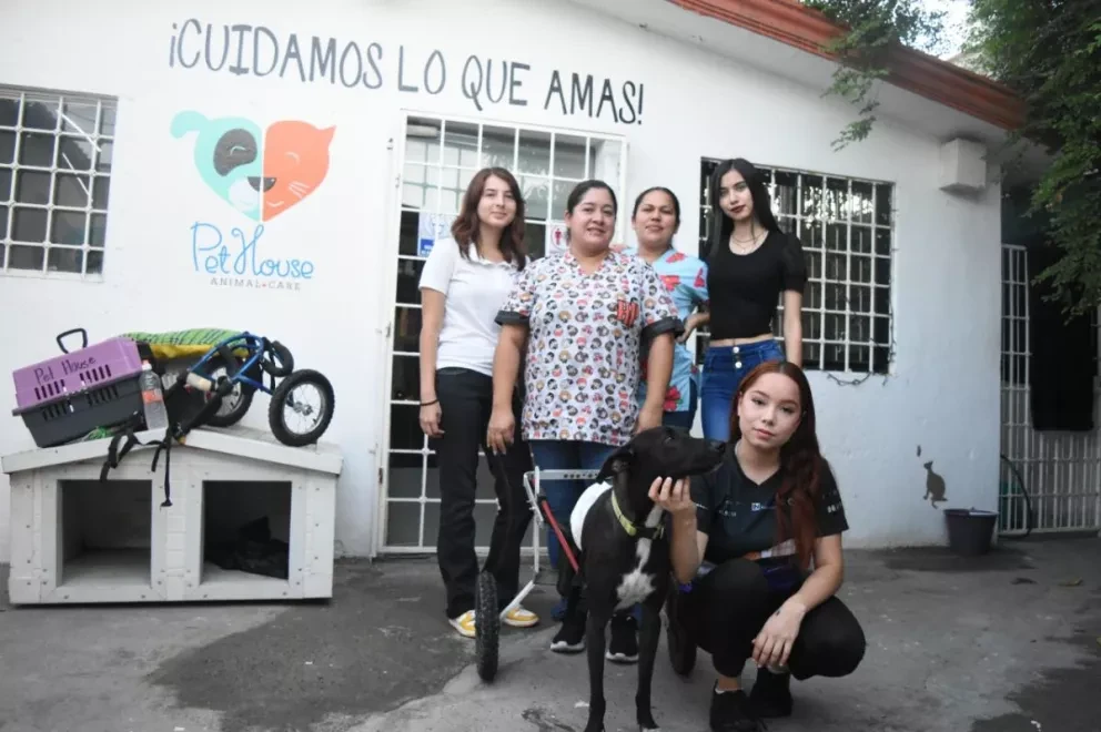 Actualmente, en la veterinaria Pet House hay 24 perros y 10 gatos disponibles, para adopción. Fotos Lino Ceballos.