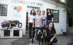 Pet House promueve la protección, esterilización y adopción de perros y gatos en Culiacán