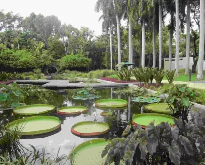 El Jardín Botánico de Culiacán