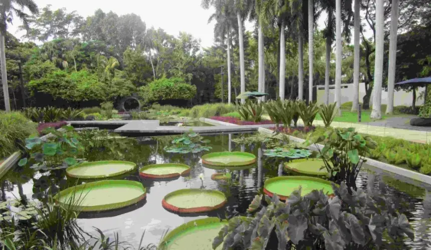 El Jardín Botánico de Culiacán