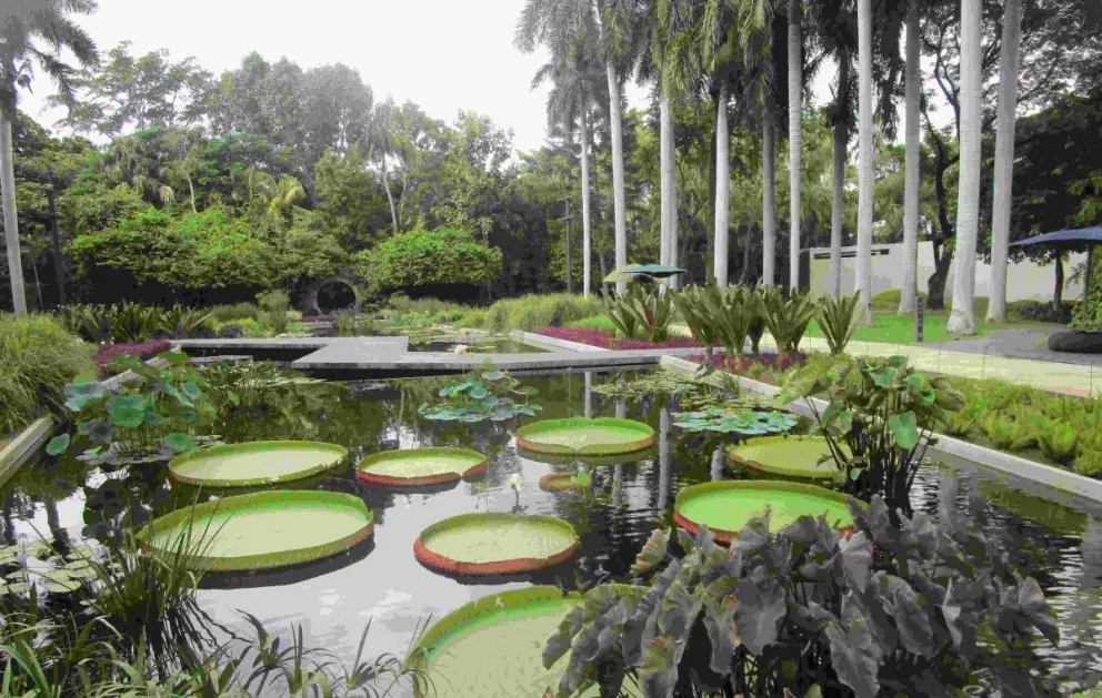 El Jardín Botánico de Culiacán