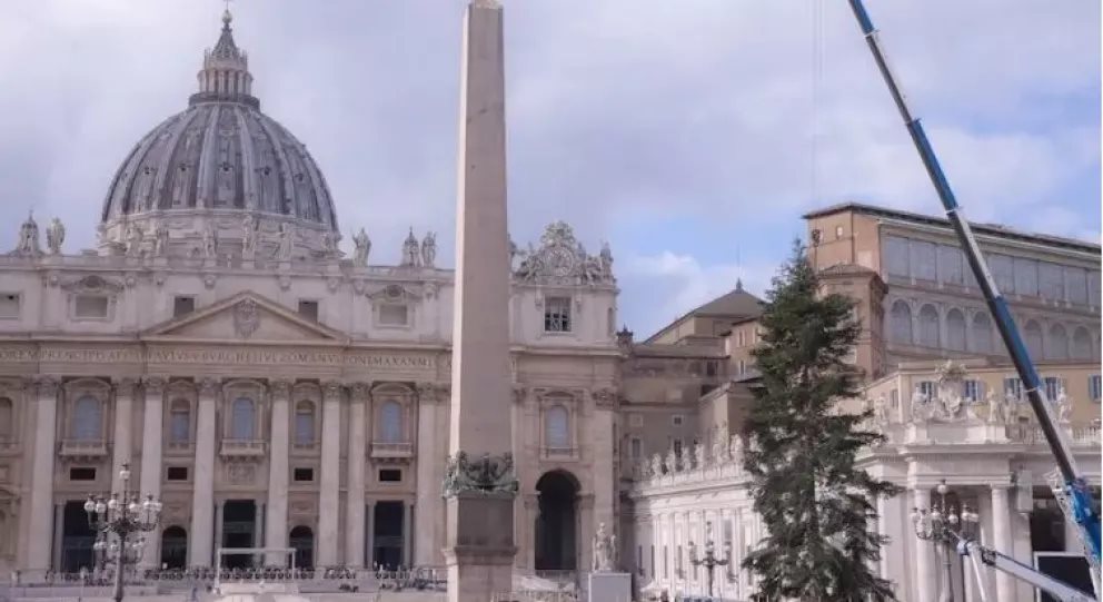 Llegó al Vaticano el árbol de la Navidad 2022