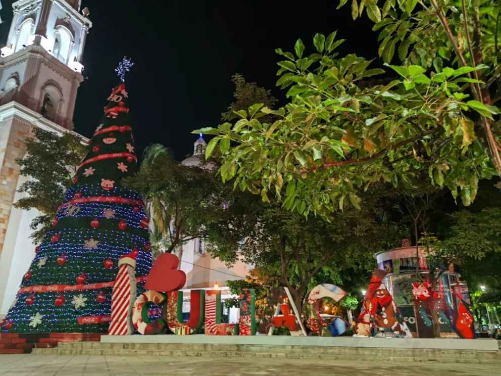 En Culiacán llega el espiritú navideño; así luce su enorme árbol de Navidad, ubicado aun costado de Catedral.