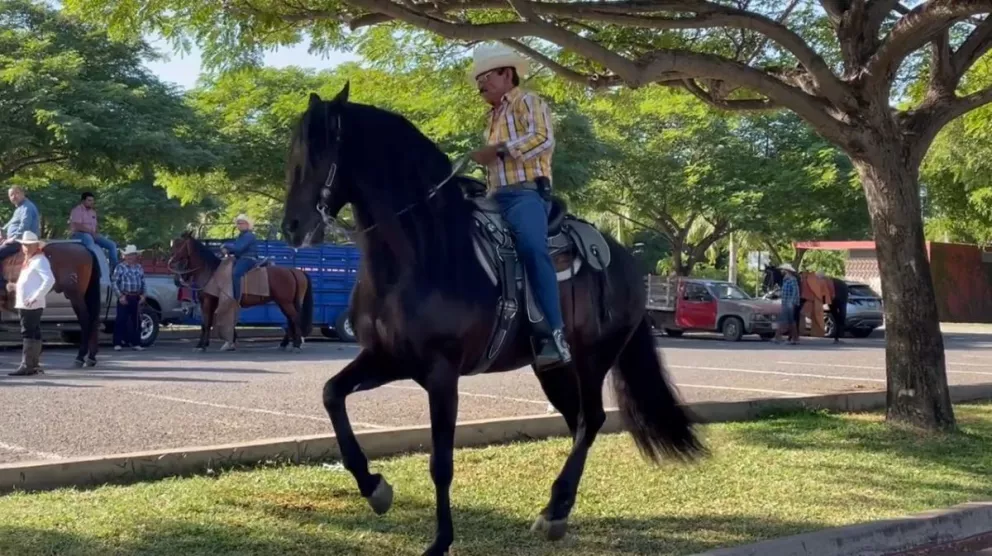 Feria Ganadera Sinaloa 2022, invita a su tradicional concurso de caballos bailadores