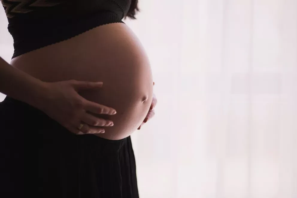 Secretaría de las Mujeres en Sinaloa trabaja fuerte para que disminuyan embarazos en adolescentes . Foto: freestocks.