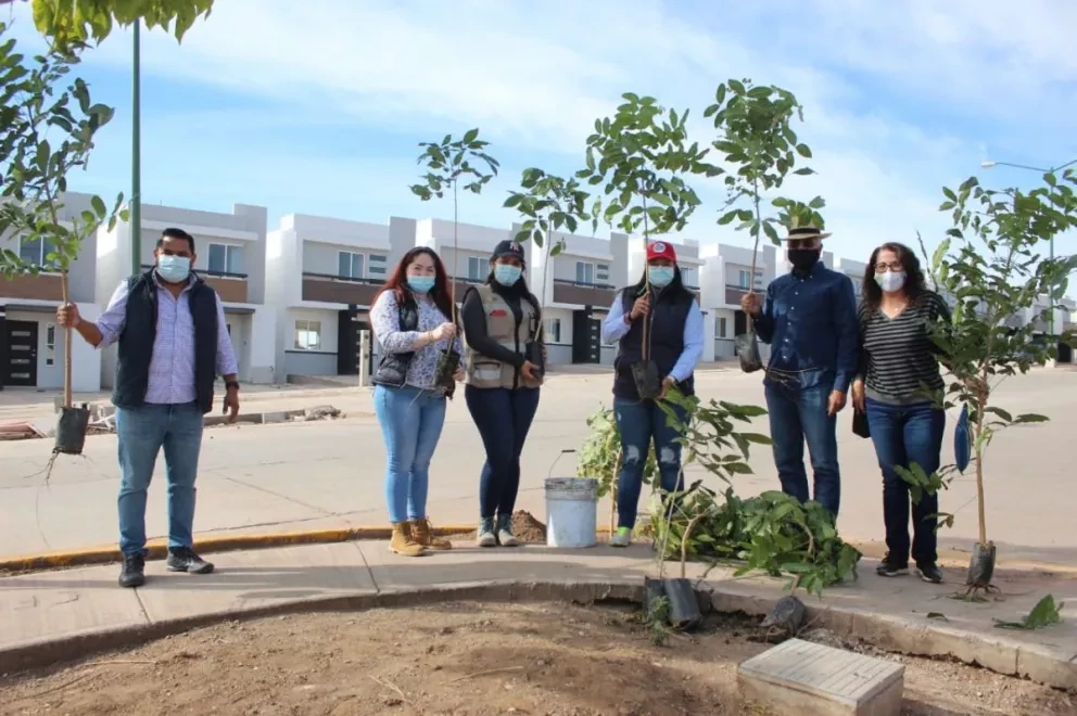 Distribuye SEDESU 200 mil árboles en Sinaloa