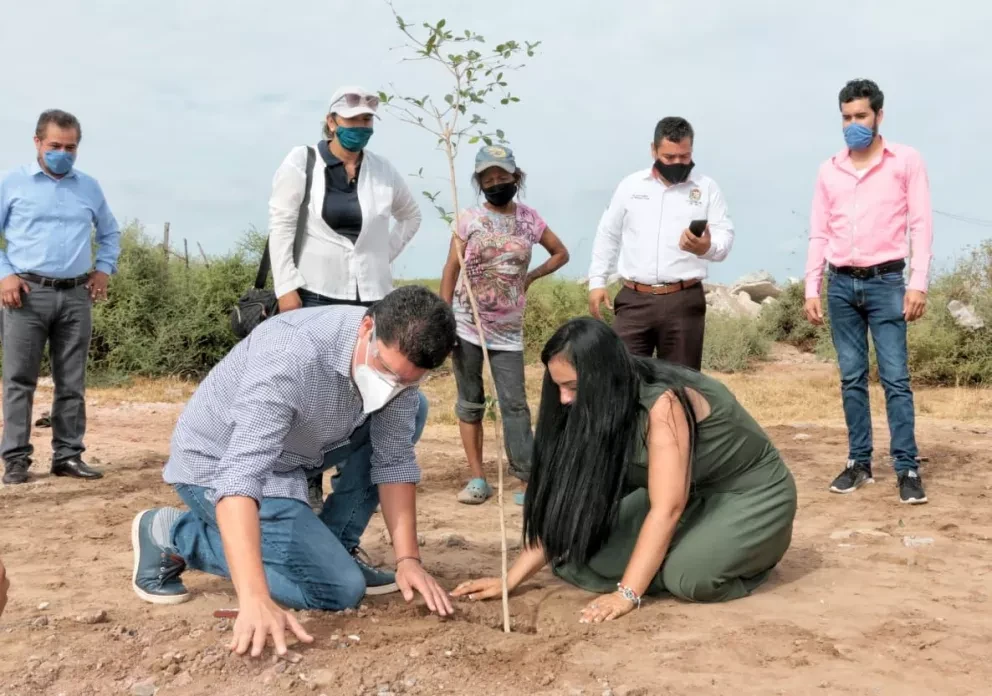 Realizan arborización de La Reforma, Angostura