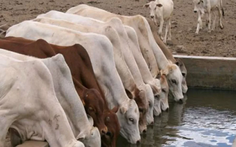 Entregan 40 mdp de apoyos a productores rurales