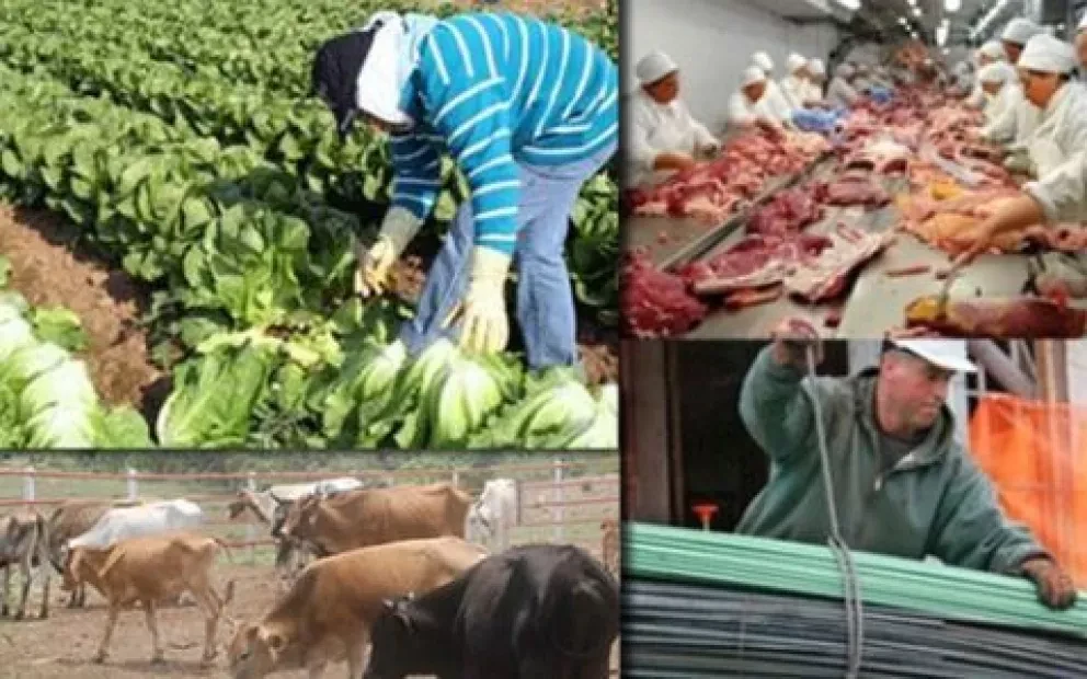 Estas son las áreas más competitivas en Sinaloa