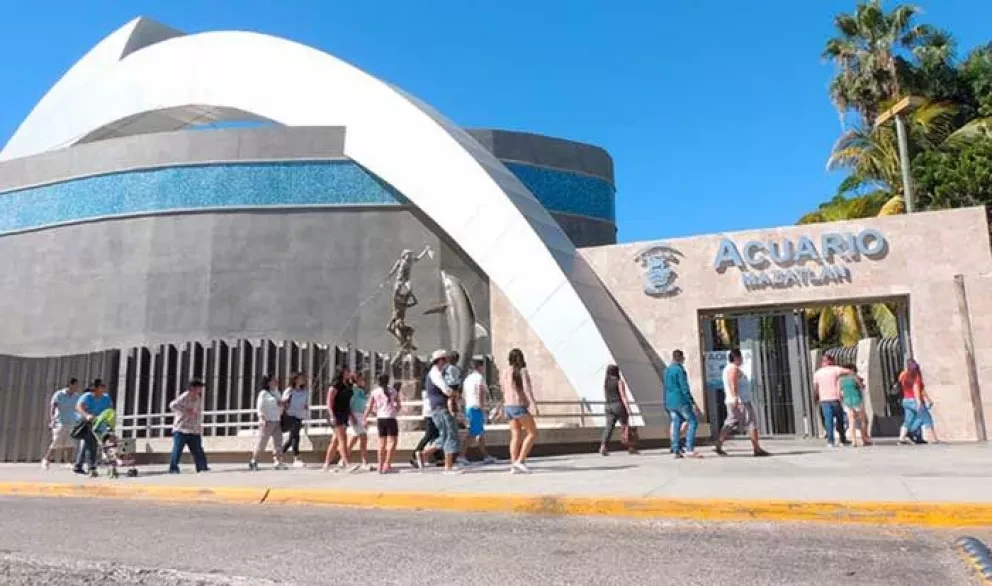 Descuento permanente del 15% en Acuario para mazatlecos