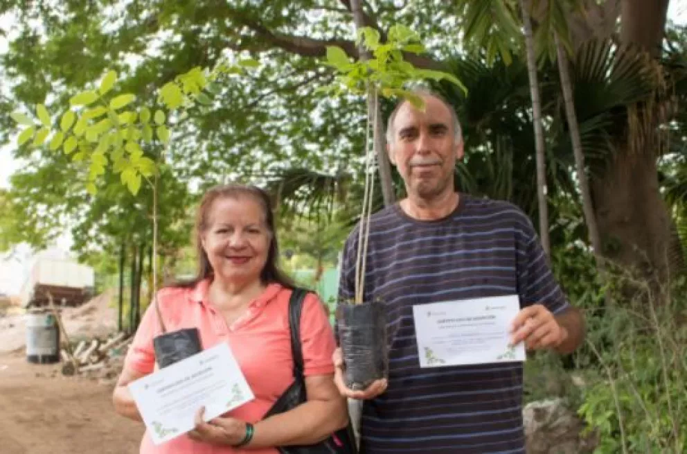 Adopta un árbol y mejora la calidad de vida en Culiacán