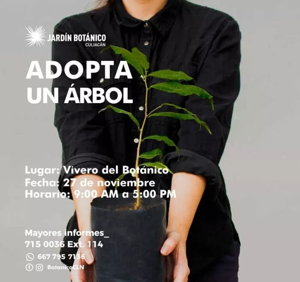 Adopta un árbol y dale recuerdos a tu vida