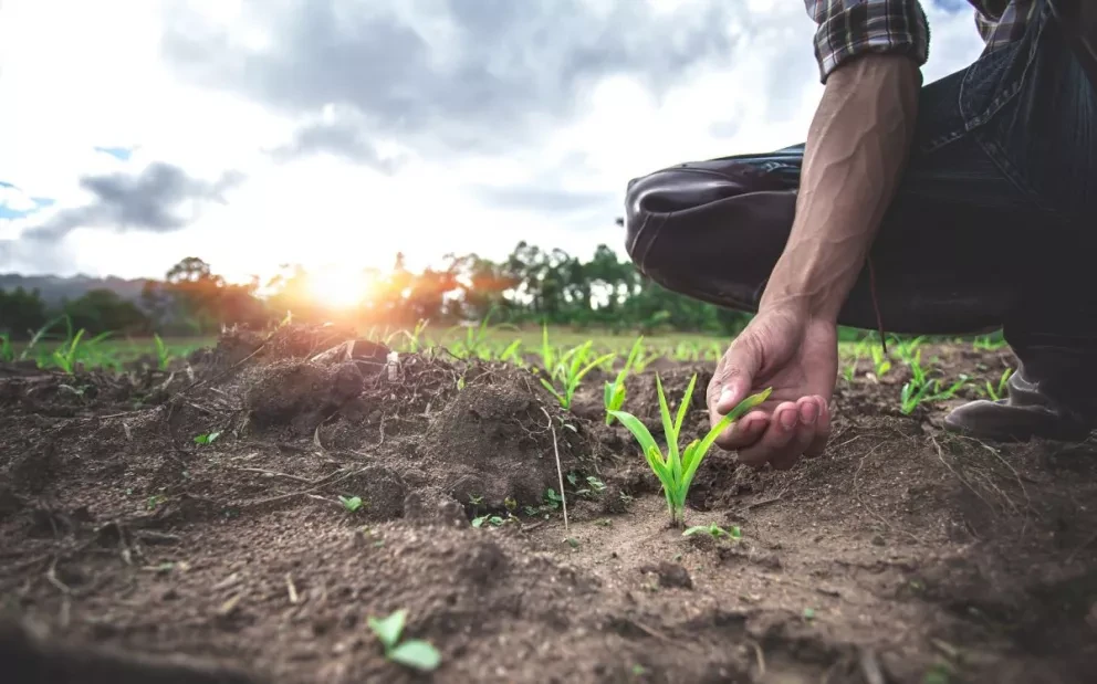 Buenas prácticas agrícolas para proteger el campo