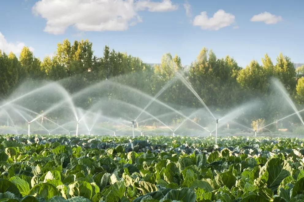 El agua dulce una carencia en las comunidades pesqueras