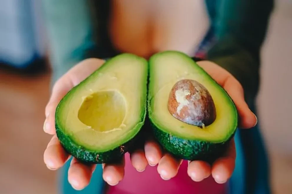 La ruta del aguacate en la conquista del mundo