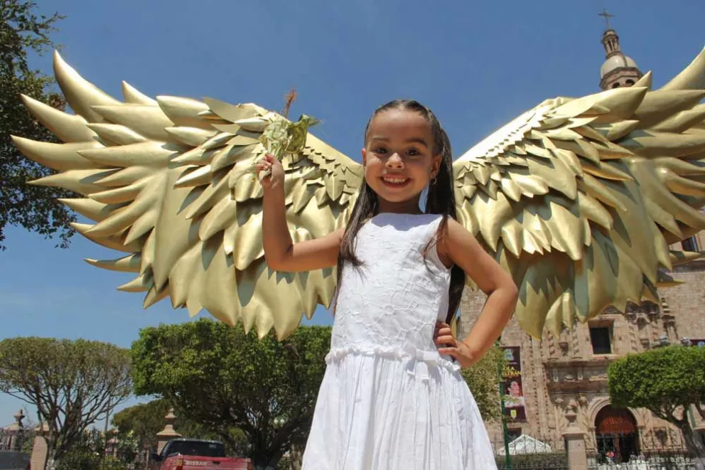 ‘Vuela’ con las alas en El Rosario, Sinaloa