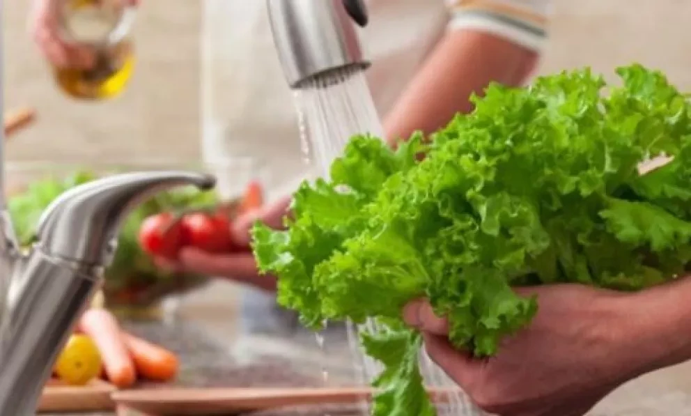 Sigue estas recomendaciones sobre alimentos en temporada de calor