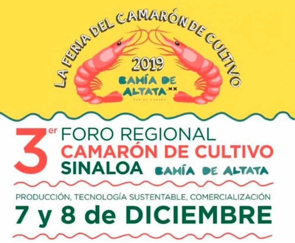 Viene la Feria del Camarón Altata con 1 tonelada de camarones gratis