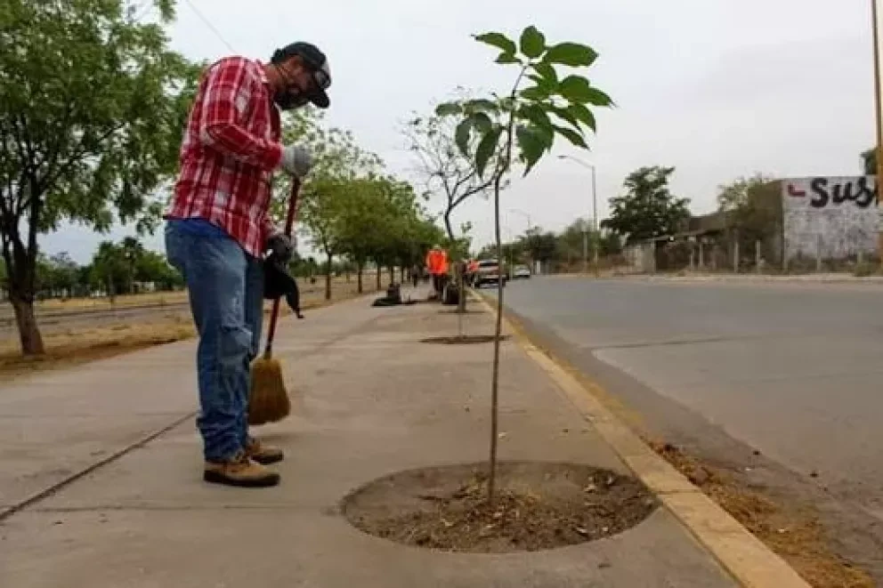 Más de 200 amapas recibirán a culiacanenses al salir de cuarentena