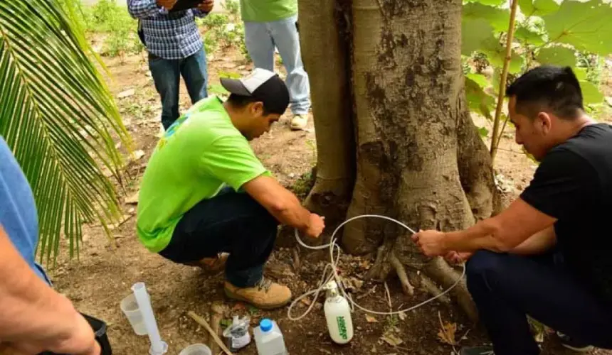 Reconocen a Jardín Botánico Culiacán por manejo sustentable de árboles