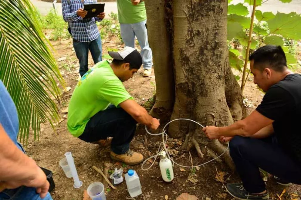 Reconocen a Jardín Botánico Culiacán por manejo sustentable de árboles
