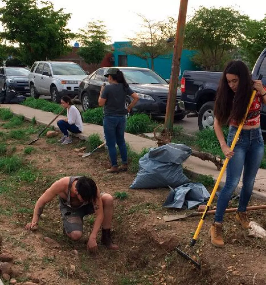 Cambian quejas de calor por árboles