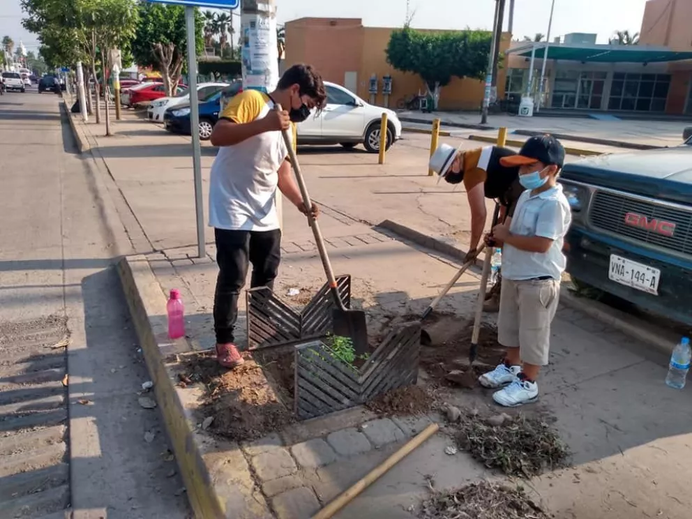 Ciudadanos se organizan para reforestar su municipio
