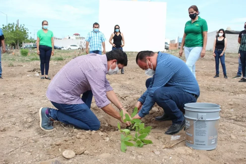 Crearán Pulmón Ecológico de La Cruz de Elota