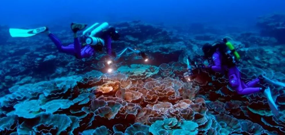 Descubren arrecife gigante en Tahití