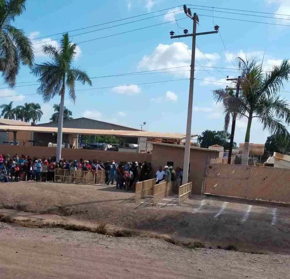 Aumenta el empleo en Sinaloa durante noviembre