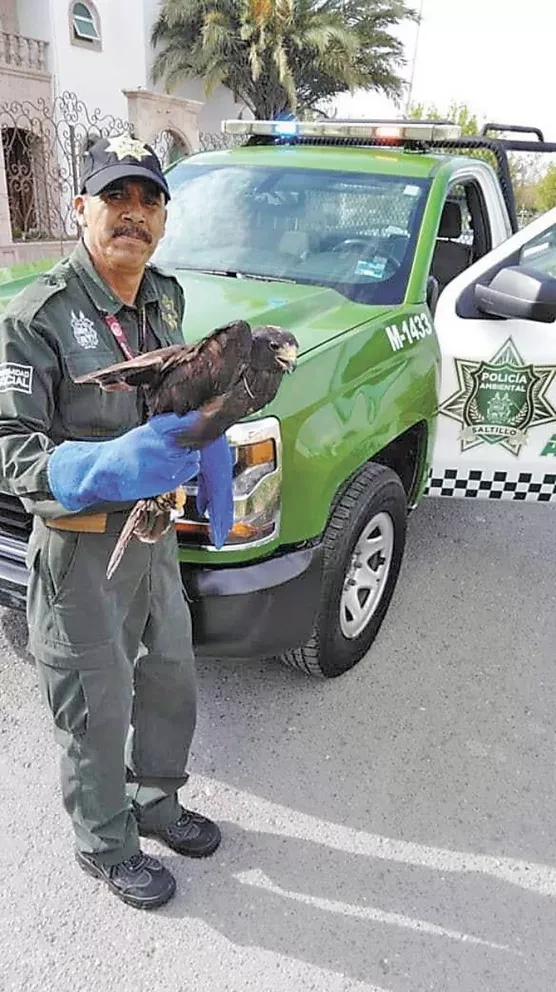 La Policía Ambiental promoverá el cuidado de la naturaleza