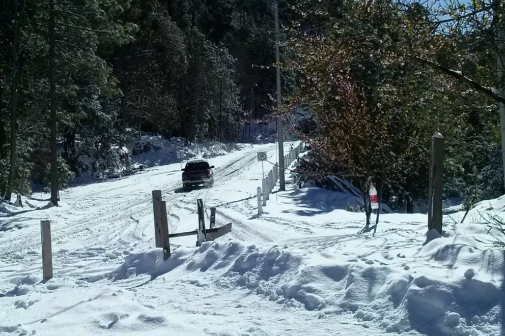 (VIDEO) Badiraguato con Nieve en Sinaloa