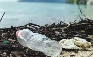 175 países firman acuerdo para reducir el plástico en el mundo