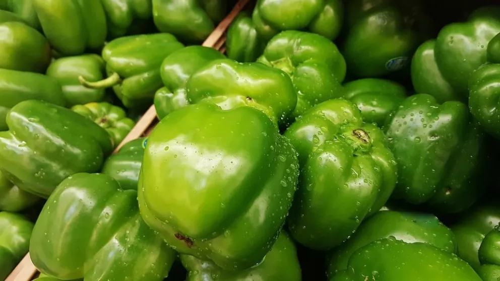 Exportaciones agroalimentarias sinaloenses crecen un 23%