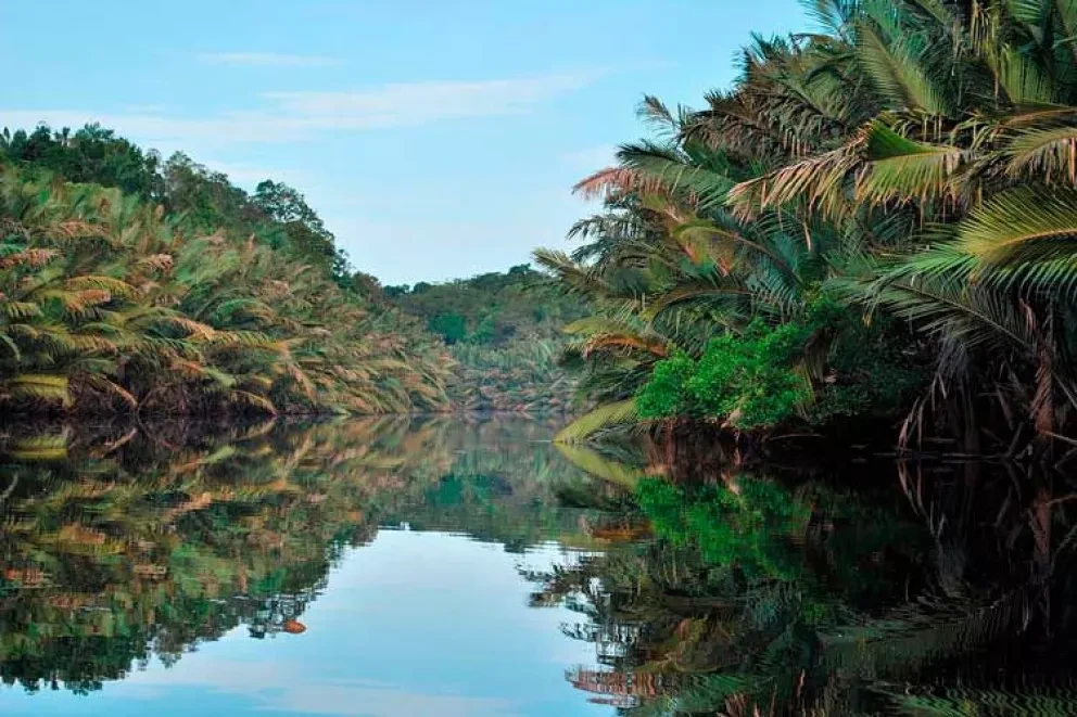 24 sitios nuevos en red de Reservas de Biósfera por UNESCO