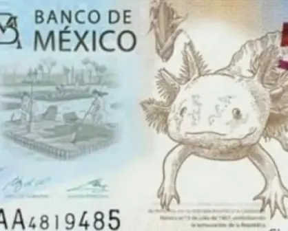 ¡Adiós Morelos! billete de 50 pesos tendrá al ajolote