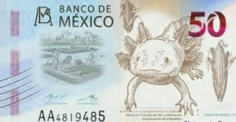 ¡Adiós Morelos! billete de 50 pesos tendrá al ajolote