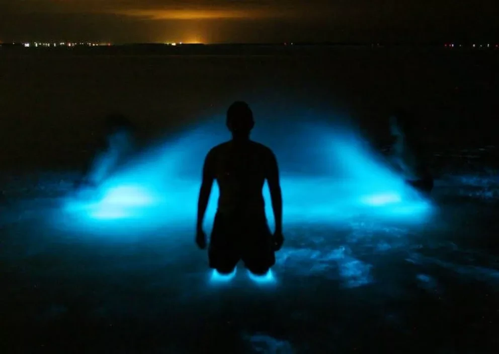 5 playas que brillan en la noche, regalo de México