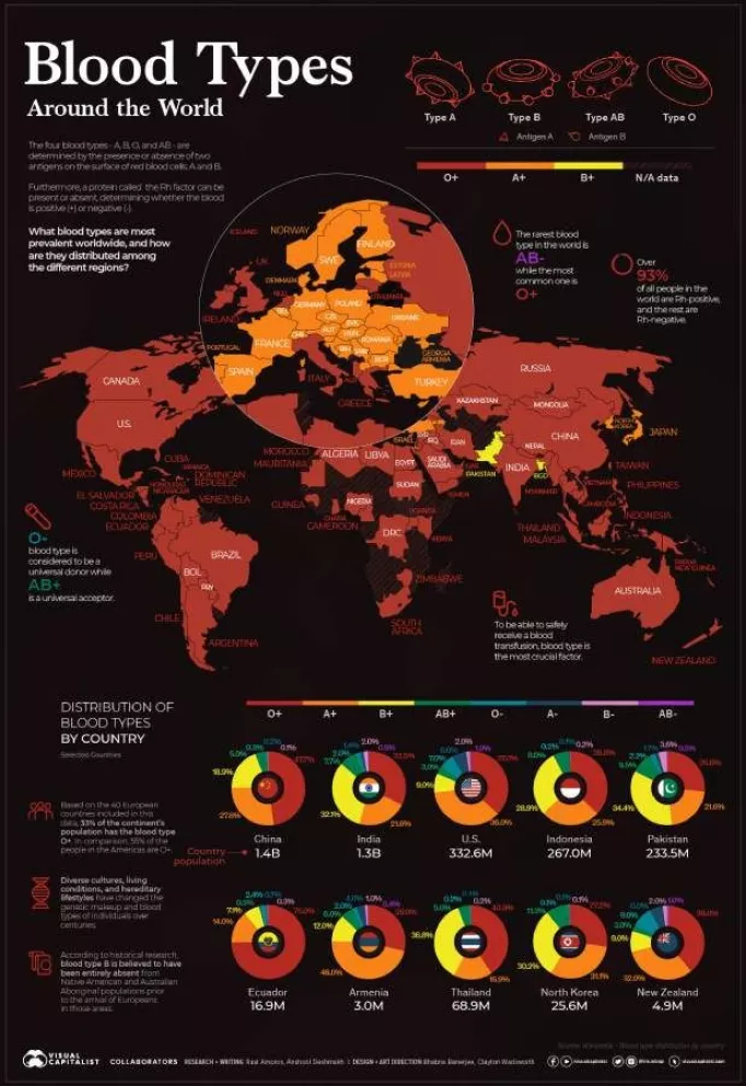 ¿Cuáles son los tipos de sangre más frecuentes en el mundo?