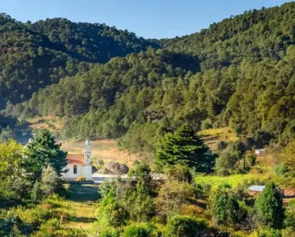 El Palo del diablo de Surutato que te puede matar