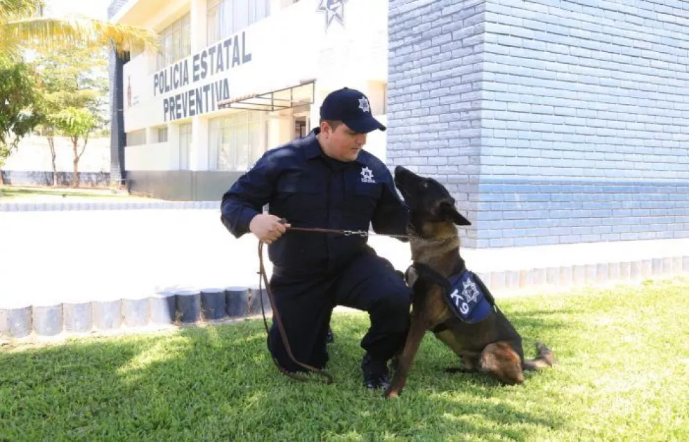Reconocen a Bruno el más perrón agente de la Policía Estatal Preventiva