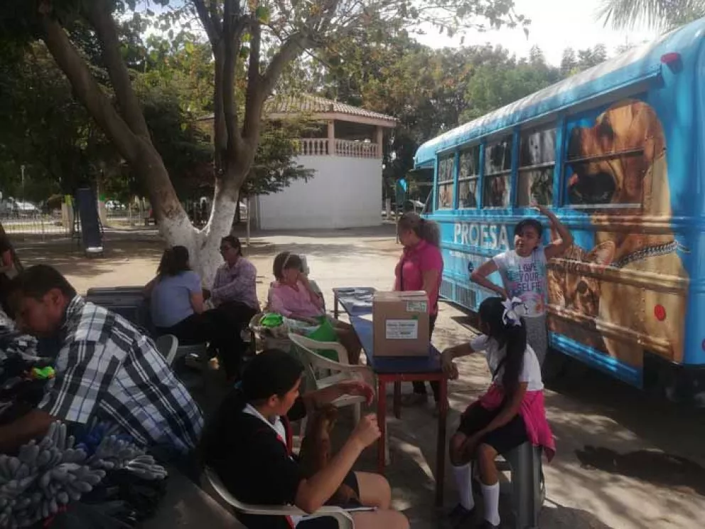 Buscan mejorar calidad de vida de mascotas en Villa Juárez