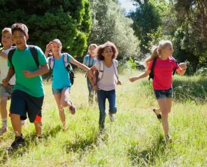 El curso de verano ideal ¿Cuál le conviene a mi hijo?
