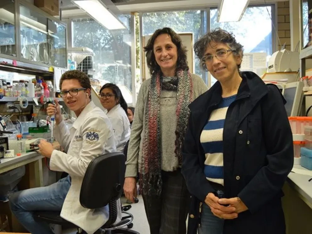 Mexicanas desarrollan molécula antitumoral en cáncer de mama