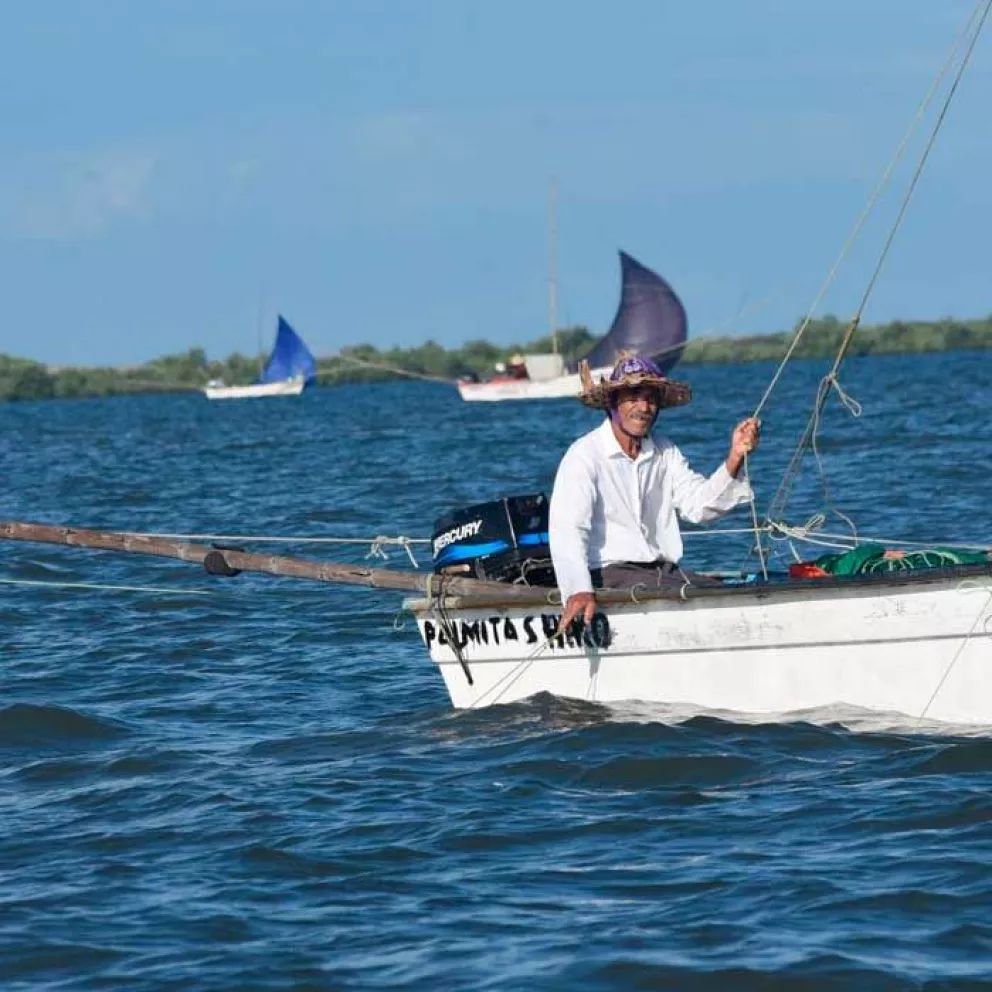 Con entusiasmo inicia temporada de pesca de camarón en Sinaloa