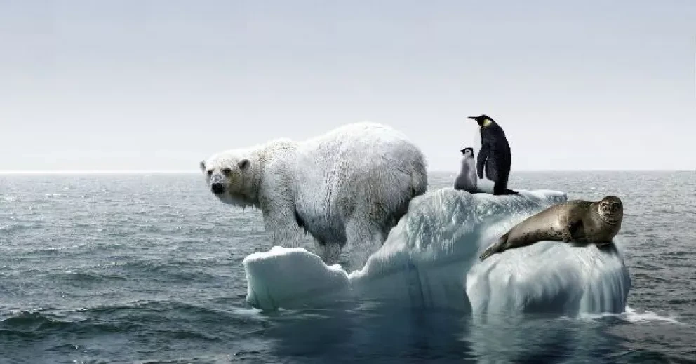 ¿El medio ambiente afecta tu salud?